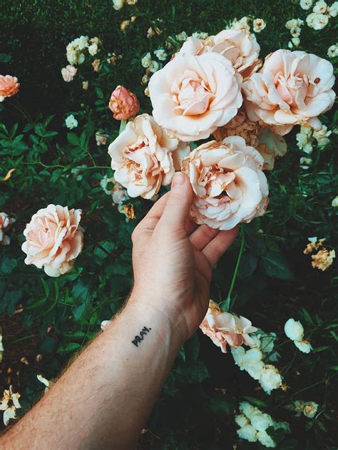 Tato bunga mawar keren sumber : Tato Bunga Mawar Di Dada Pria - Paimin Gambar