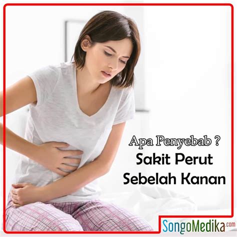 More meanings for sakit perut. Penyebab Sakit Perut Sebelah Kanan by 9Medika - Trepup.com ...