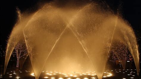 A source of running water encourages pets to drink more rather than still water. Still More Dancing Water Fountain at the Americana | Flickr