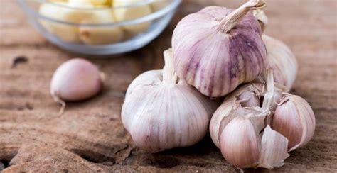 Sel darah putih atau sering disebut dengan leukosit ini adalah darah putih yang butirannya. Nih 7 Makanan yang Bisa Meningkatkan Jumlah Sel Darah Putih