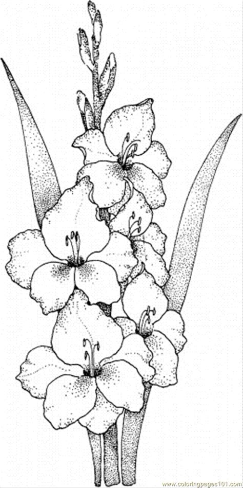 Ladybug coloring pages for adults. Gladiolus 1 Coloring Page - Free Flowers Coloring Pages ...