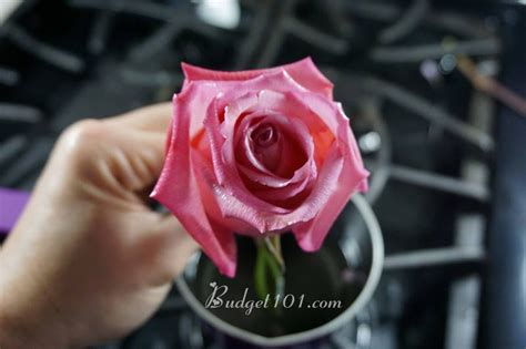 Some of the old methods of preserving flowers were: Wax Dipped Roses- How to Preserve Flowers with Wax | How ...