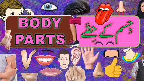 It is made up of many different parts… Body Parts Name in English | Body Parts Name in Urdu and ...