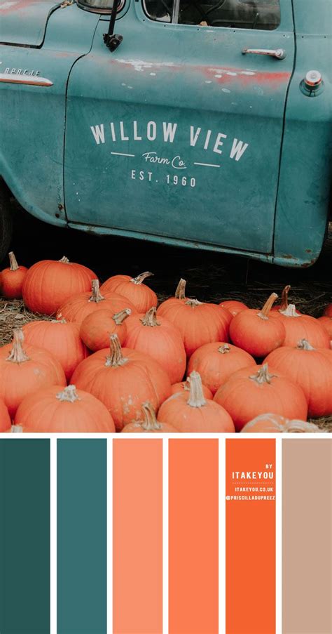 What's happening with the video on the left is that the colors are being tinted orange or teal. Pumpkin and Teal Color Scheme - Color Palette #24 in 2020 ...