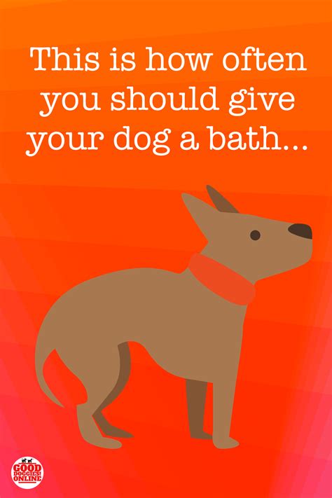 However, bathing is needed for most dogs to supplement the process. How Often to Bathe a Dog | Good doggies online, Dogs, Pet ...