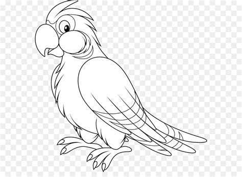 Maybe you would like to learn more about one of these? Book Black And White png download - 640*642 - Free ...