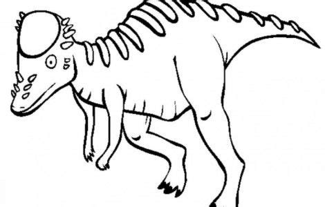 Dinosaur coloring pages | animal coloring pages. Pachycephalosaurus Dinosaur Coloring Pages | Dinosaur ...