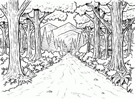 Also coloring pages of nature are very difficult to color because some views and locations of nature are just mind blowing. Forest Coloring Pages Printable - Coloring Home