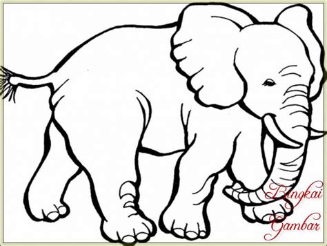 40 gambar sketsa gajah lucu gudangsket. Lukisan Gajah Mudah Cikimm Com