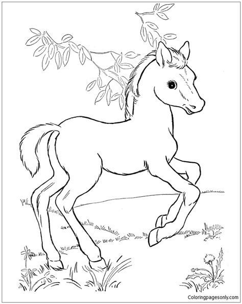 Prepare for some coloring fun with complimentary printable coloring image. Baby Horse Coloring Pages - Horse Coloring Pages ...