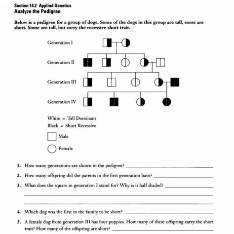 Label the sugar phosphate backbones. Dna The Molecule Of Heredity Worksheet Answers | db-excel.com