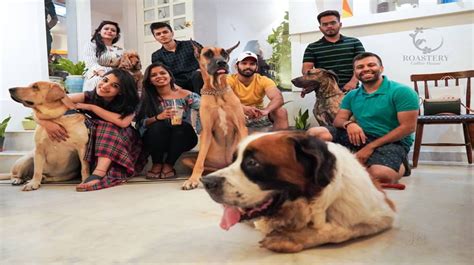 View our list of attractions, activities, events, restaurants and visitor information. PURRFECT: Pet-friendly Restaurants In Hyderabad To Dine ...