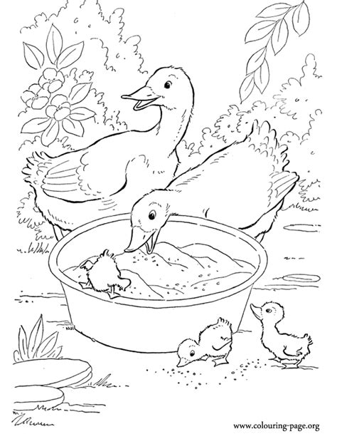 Printable duck coloring pages are a fun way for kids of all ages to develop creativity, focus, motor skills and color recognition. Dogs and Puppies - Couple of ducks and his ducklings ...