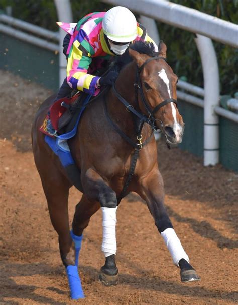 62,388 likes · 2,285 talking about this. 【桜花賞】展開から浮上するのはこの馬だ/競馬・レース ...
