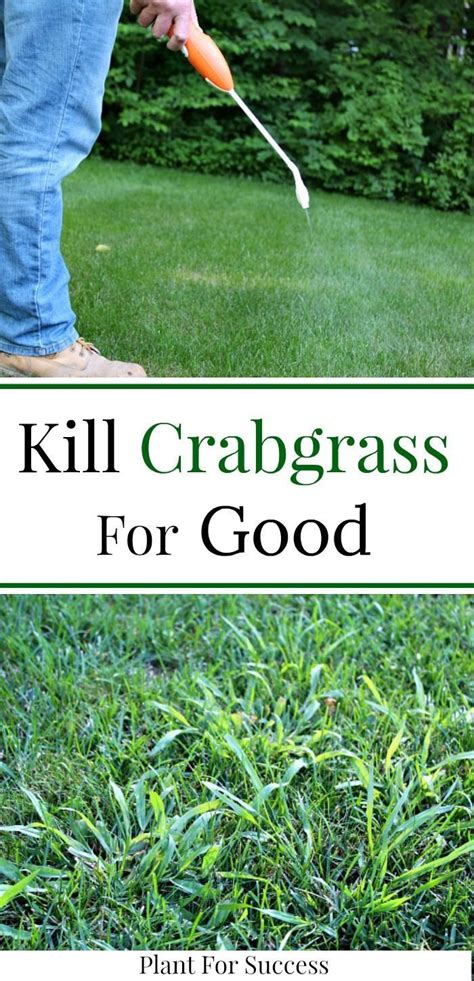 Be careful to closely follow all the directions and instructions clearly detailed on the label. Crabgrass removal and crabgrass control is important to ...