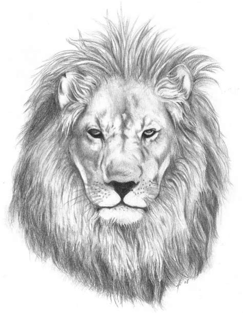 Lion in crown looking danger. 55+ Best Lion Tattoo Collection - part3 | Lion sketch ...