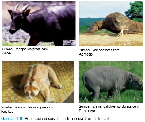 Gambar flora dan fauna bagian barat timur tengah. Ciri-Ciri dan Tipe Fauna Indonesia Tengah Atau Tipe ...
