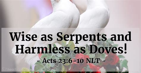 Jesus told his disciples be wise as serpents. "Wise as Serpents and Harmless as Doves!" — Acts 23:6-10 ...