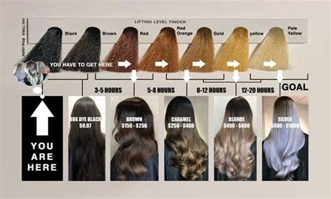 It is highly rated quick permanent ash blonde hair dye. Black to platinum chart | Black to blonde hair, Color ...