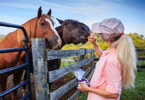 Veja fotos de mulheres despidas, totalmente free. Dois Cavalos Na Cerca Com Mulher Foto de Stock - Imagem ...