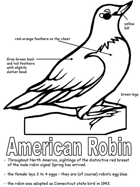 In addition to flowers, each state also has its own bird, tree, and flag, as well as a state motto. American Robin with labels