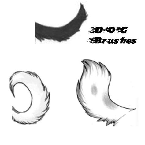Find images of happy dog. Dog tail brushes by argentinianwolf on DeviantArt