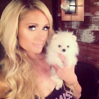 Discover hilton paris opera, the luxury hotel for leisure and business in central paris within easy reach of the most iconic sites and attractions. Paris Hilton: Neuer Hund im Haus