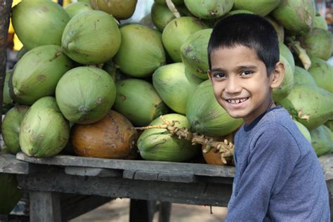 Di indonesia sendiri, buah kundur sangat mudah ditemukan di pasar tradisional. Gambar : menanam, buah, anak, makanan, menghasilkan, sayur ...