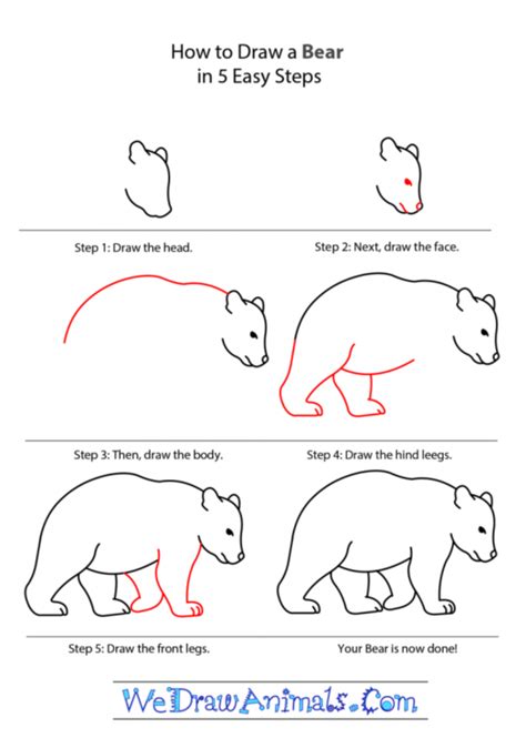 4.draw five nails in front of all fingers. How To Draw Easy Animals Step By Step Image Guide