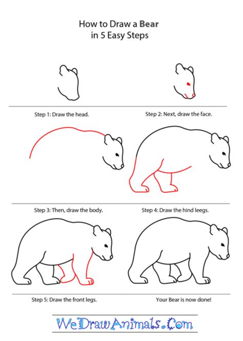 Check spelling or type a new query. How To Draw Easy Animals Step By Step Image Guide