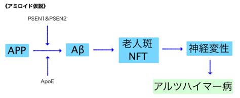 She began eating the bread she made a while ago. アルツハイマー病とゲノム - 『パーソナルゲノム医療』時代の ...