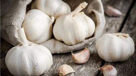 Bien que nous sachions que l'eau est importante pour notre santé, la plupart d'entre nous n'en boit pas suffisamment. 5 plantes pour améliorer la circulation sanguine ...