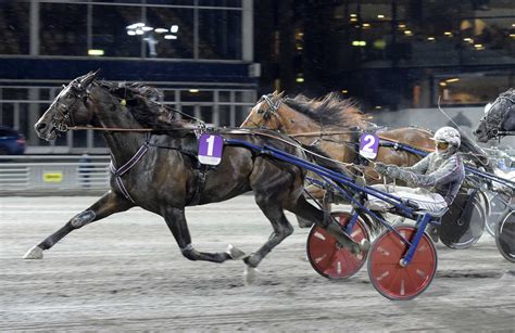 V75® is one of the largest horseracing pools in v75 is held every saturday on various racetracks throughout sweden. Sportbladets tips till V75 på Solänget, lördag | Aftonbladet