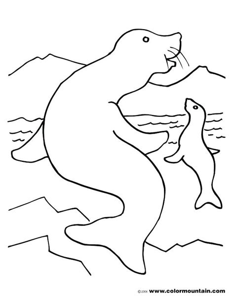 Coloring pages baby seals 19. Harp Coloring Page at GetColorings.com | Free printable ...