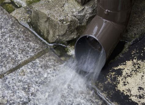 A breeding ground for unwanted guests. Help, My Gutters Are Overflowing! | Alcoil