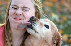 dog lick saliva pets infection health