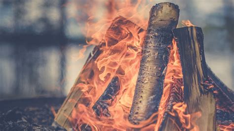 With a 15 minute flare even if the wood is soaked there is enough time for the hot flames to dry the wood and get it to burn. How to Light a Wet-Wood Fire | Kamp-Rite