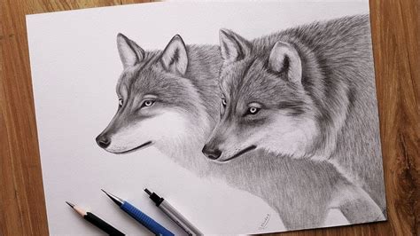 One wants to kiss double trouble. How to draw wolves with a pencil | Drawings, Animal drawings