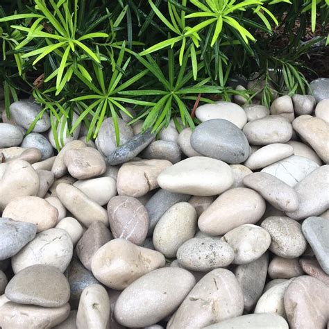 Everything you want to know about perfect finish landscaping careers: Beach Pebble Collection in 2020 | Landscaping with rocks ...