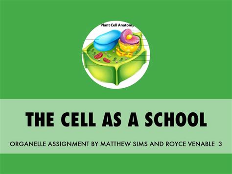 What gives plant cell firm regular shape. THE CELL AS A SCHOOL by Matt Sims