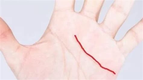 We did not find results for: 10+ Gambar Tato Garis Di Tangan, Paling Dicari!