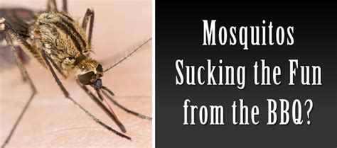 We're excited to help you find solutions for your home improvement needs. Pest Control Lake of the Ozarks : Exterminator Osage Beach ...