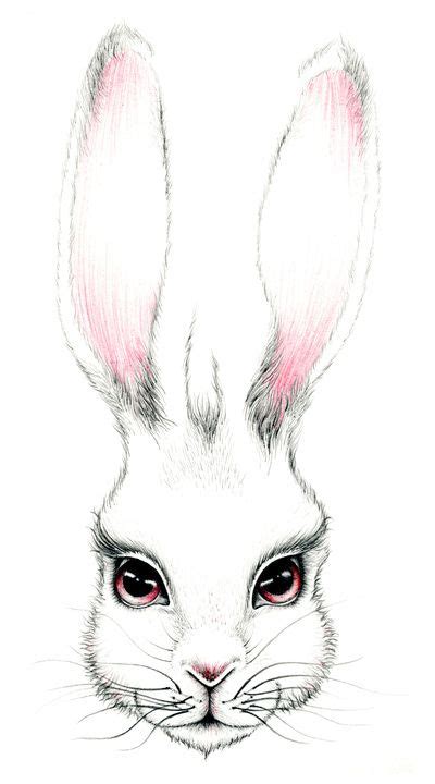 Download in under 30 seconds. Bunny face | Drawings, Woodland animal art, Rabbit drawing