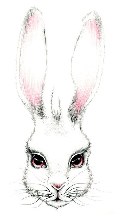 Upload, livestream, and create your own videos, all in hd. Bunny face | Drawings, Woodland animal art, Rabbit drawing