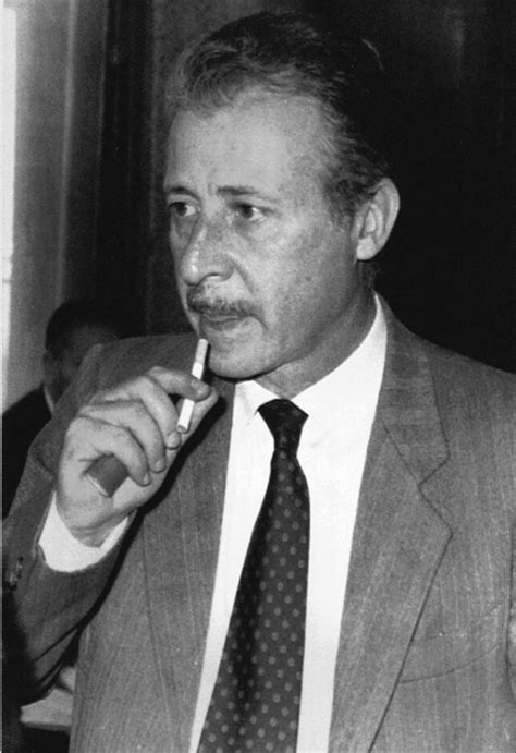 Propone un affresco di una parte importante della storia d'italia, con il tentativo di tratteggiare anche la normalità. Caro Paolo Borsellino | Venti Blog