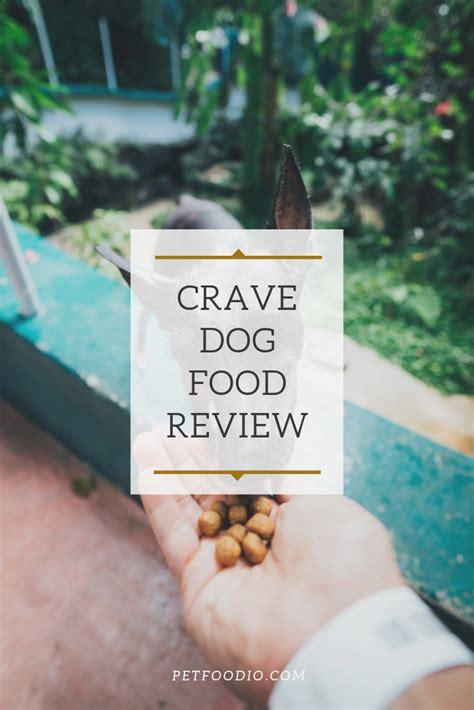 These ingredients give this dry food a very meaty and savory flavor. Crave Dog Food: A Food Your Dog Will Crave | Holistic dog ...