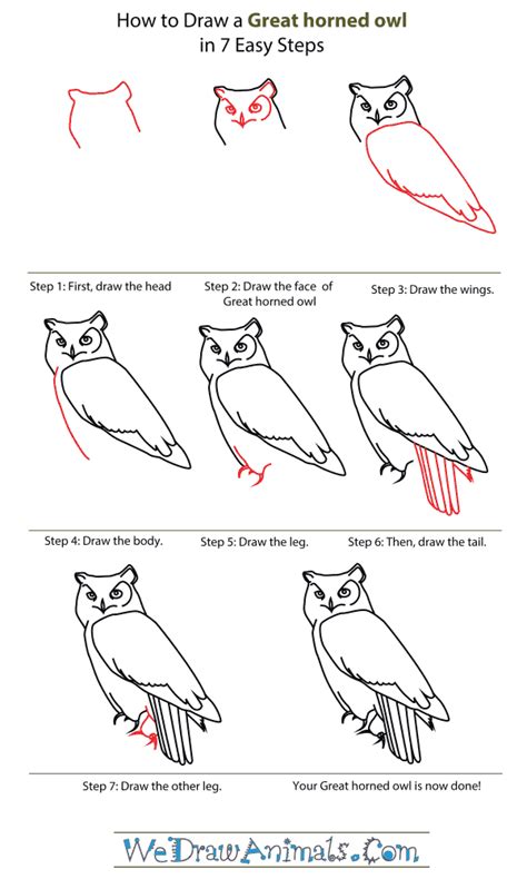 How to draw a kangaroo; how-to-draw-a-great-horned-owl-step-by-step | Owls drawing, Owl drawing simple, Bird drawings