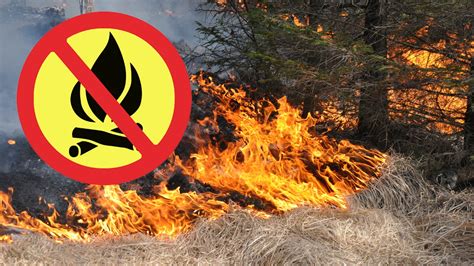 När det är eldningsförbud få du inte göra upp eld utomhus. Eldningsförbud i hela Kalmar län - P4 Kalmar | Sveriges Radio
