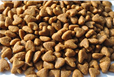 Here at dogfood.guide we have a dedicated mission to provide dog owners like you with the firstmate company is based in canada. High Quality/delicious Organic Wholesale Bulk Dog Food Pet ...