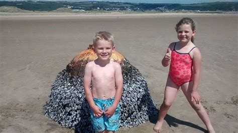 We did not find results for: British Family Photographs Kids With 'Beach Buoy' That Was ...